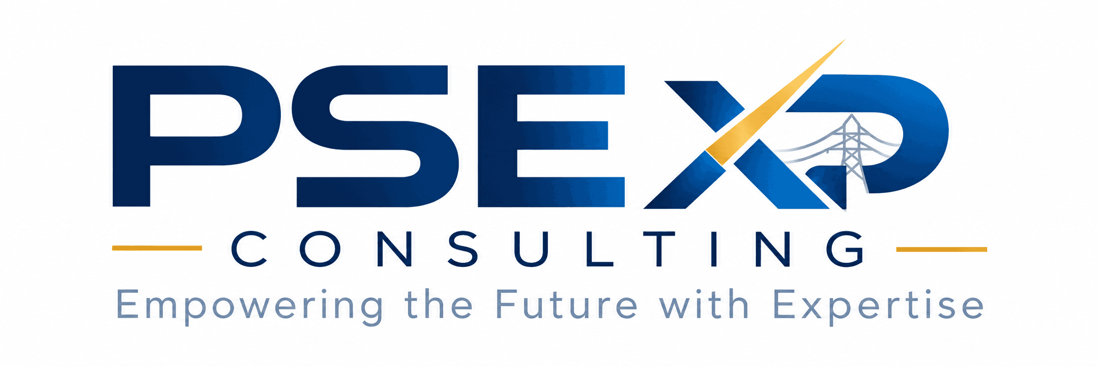 PSE XP Consulting — Empowering the Future with Expertise